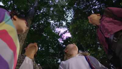 This is it. Mangrove Bay. - Rock Island Mysteries