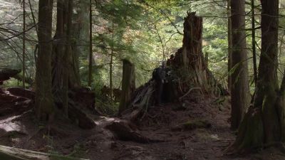 This is it, - Twin Peaks