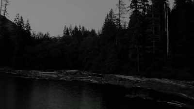  This is just
 the perfect spot. - Expedition Bigfoot