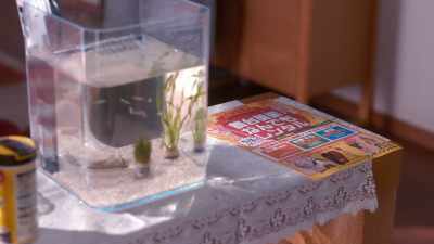 This is Kagami. Thank you as always. - When I Get Home, My Wife Always Pretends to be Dead