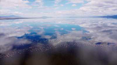 - This lake is
very, very shallow, - The UnBelievable with Dan Aykroyd