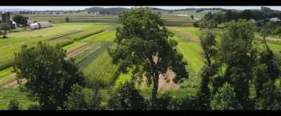 This land could transition - 2040