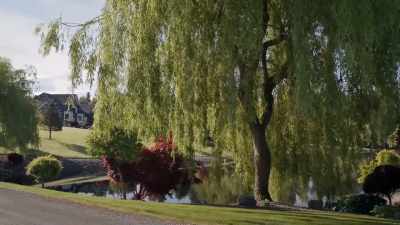 This landscaping is stunning. - The Vows We Keep