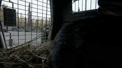 This last winter
when COVID started, - Life Below Zero: Next Generation