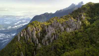 This limestone mountaintop
in Borneo's highlands - Our Planet