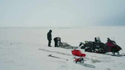 This load is probably as much
as this sled can take, eh? - Life Below Zero: First Alaskans