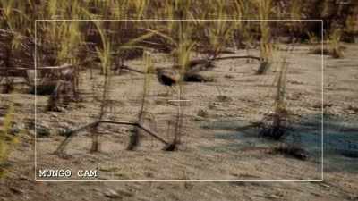 THIS LOCATION HAS THE ADDED
BENEFIT THAT, POSTKILL, - Expedition Mungo