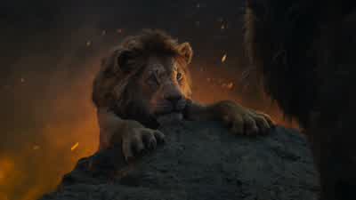 This looks familiar. - The Lion King