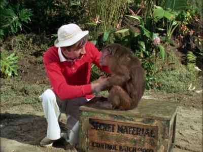 THIS LOOKS LIKE WE FOUND
SOMETHING REAL GOOD
THIS TIME, HUH? - Gilligan's Island