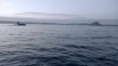 This looks lively enough.
Will's net. - Cornwall: This Fishing Life