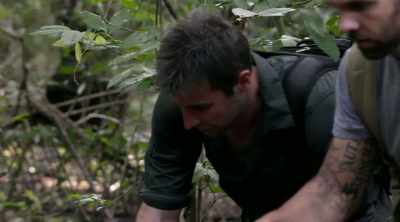 - This looks pretty consistent
with a giant anteater, don't it? - Kings of Pain