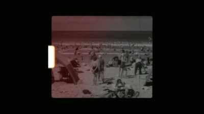 This lovely beach is
a typical example. - Envoy: Shark Cull