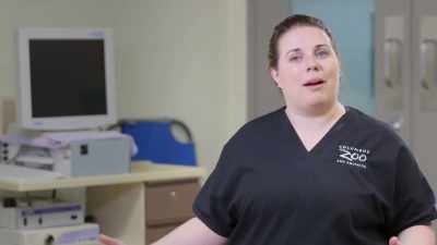 This low blood pressure
is not good, - Secrets of the Zoo