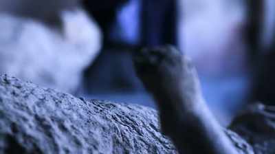  This was made possible
 by a technique pioneered
 in the 19th century. - Pompeii: Secrets of the Dead