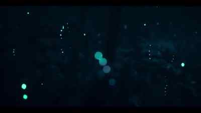This magical light show is
the synchronized mating display - Our Oceans