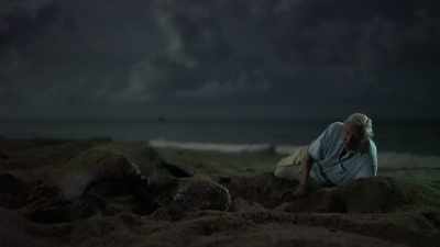 This magnificent creature preparing... - Blue Planet II
