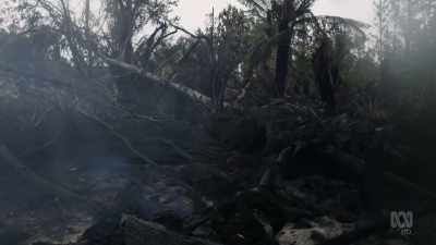 This makes sense in a dry habitat
with regular fire... - David Attenborough's Tasmania