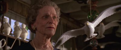 This man appeared - The Witches of Eastwick