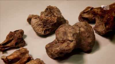 This man had have severe changes
on his feet, - Curse of the Ancients with Alice Roberts