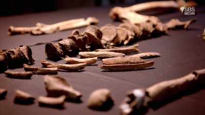 This man, when he was killed,
he fell over a burning firestead - Curse of the Ancients with Alice Roberts