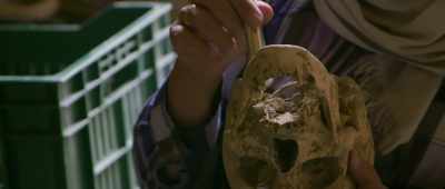 This mandible is pushed to the front. - Secrets of the Saqqara Tomb