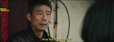 This Mao Mao 1, - Dead Pigs