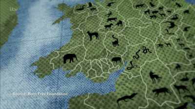 'This map represents
the thousands of exotic creatures - Britain's Tiger Kings - On the Trail with Ross Kemp