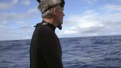 "This may be his chance,
if the baby whale will allow it." - Secrets of the Whales