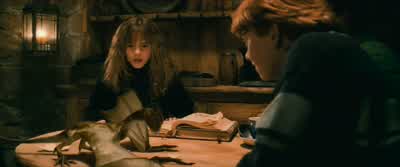 This mirror gives us neither knowledge... - Harry Potter and the Philosopher's Stone