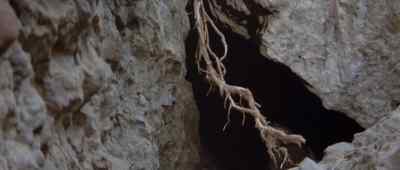This must be what
your scout reported, - Beneath the Planet of the Apes
