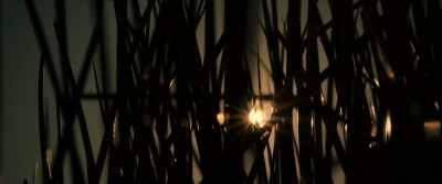 This is my morning song I sing, - Seize Them!