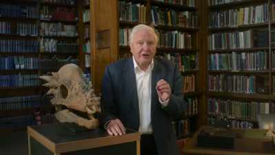 This new theory seemed to be accepted
until 2013, - Prehistoric Planet