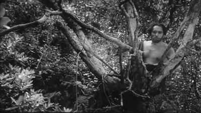 This is no evil thing. - Teenage Cave Man