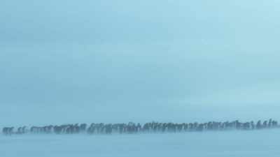 This is no time for a youngster
to be alone. - Dynasties