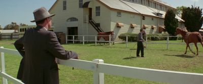 This is not a horse Harry - Phar Lap