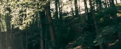 This is not a question of braverySo you're bravely refusing to fight a swordsman half your age - The Chronicles of Narnia: Prince Caspian