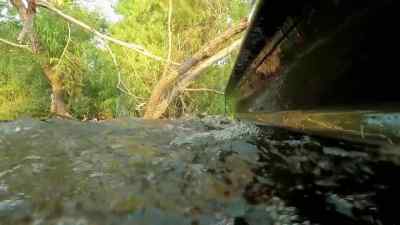    This is not a small gator.
         He feels heavy. - Swamp People