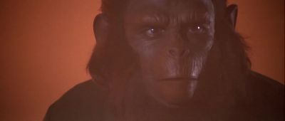 This is not how it was meant to be - Conquest of the Planet of the Apes