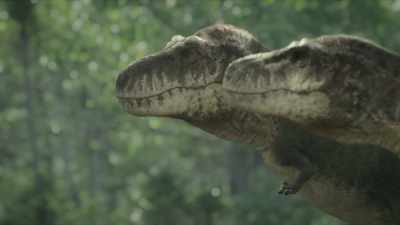 This is not the right time to attack. - Prehistoric Planet