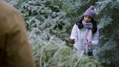 This is not what I had in mind - A Vineyard Christmas
