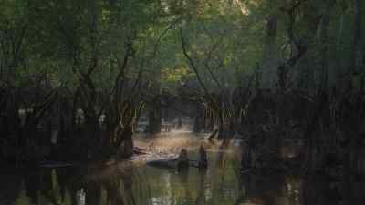This is now a swamp forest. - Prehistoric Planet