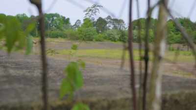 This is obviously a racetrack. - Mysteries of the Abandoned