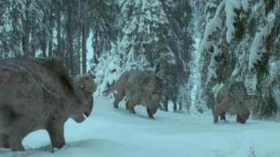 This old bull is still a formidable force - Prehistoric Planet