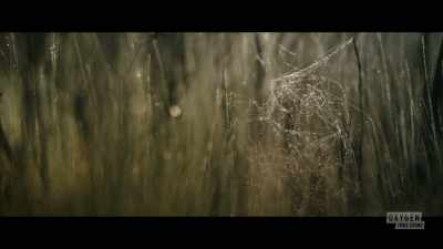 -This was one of
the most publicized - Lady of the Dunes: Hunting the Cape Cod Killer
