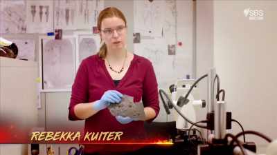 This is one of the plates - Curse of the Ancients with Alice Roberts