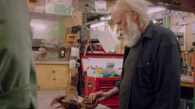 This was one of two stop-motion bugs
that we made - Prop Culture
