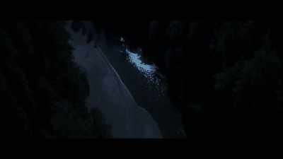 This one particular night, - Sasquatch