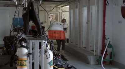 This one, which has been tested for
two years, is much more ambitious. - Shark Attack Files