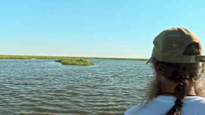 This one's already hanging, huh? - Swamp People