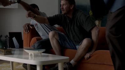 This one's not having any. - Ray Donovan